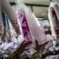 Kenaikan biaya bahan baku plastik yang signifikan memaksa pelaku usaha memangkas margin keuntungan.